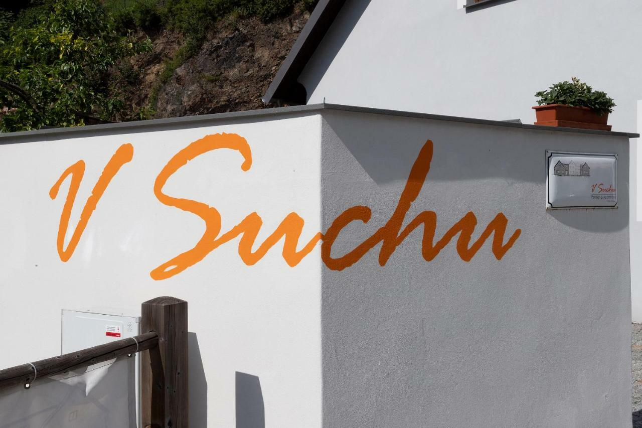 Penzion V Suchu Cesky Krumlov Exterior foto